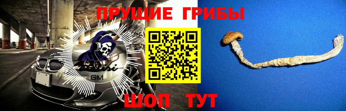 Галлюциногенные грибы прущие грибы  Галлюциногенные грибы мицелий  Сызрань  Вход с VPN 